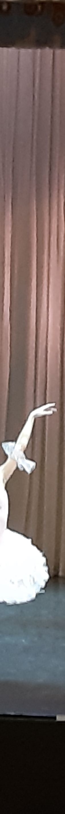 冬宫剧院-圣彼得堡