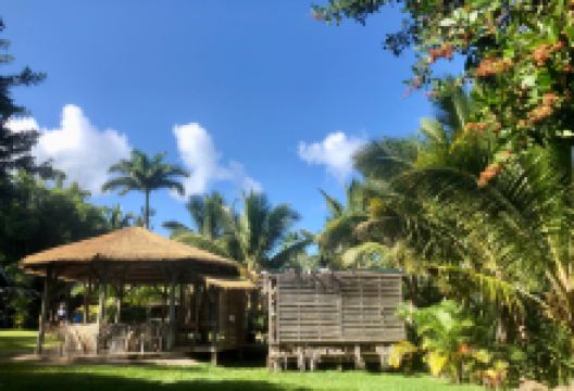 The House of Coco景点图片