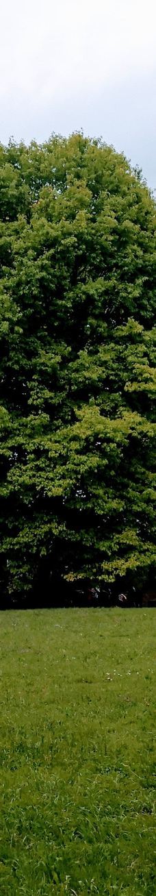 Parco della Pellerina-都灵