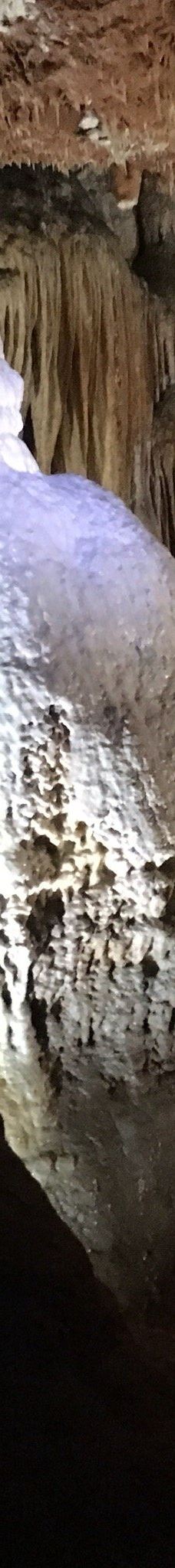 Jama - Grotta Baredine-Gedici