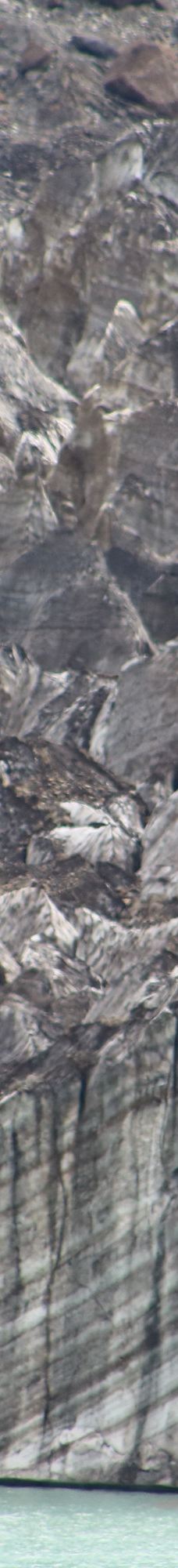 Ventisquero Negro-巴里洛切县