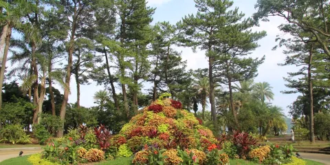 宮交亞熱帶植物園