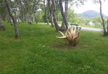 Artscape Nordland景点图片