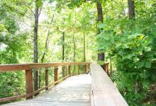 Forrest L Wood Crowley's Ridge Nature Center景点图片