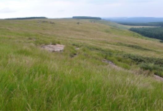 Khambula Battlefield景点图片