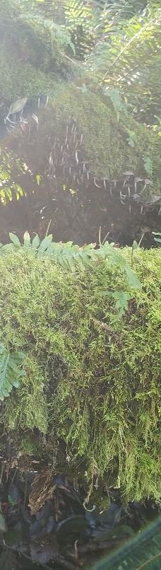 Lewis & Clark Interpretive Center-太平洋城县