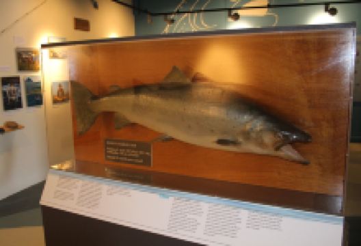 Icelandic Salmon Center景点图片