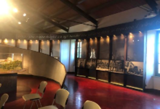 MUVIS - Museo del Vino景点图片