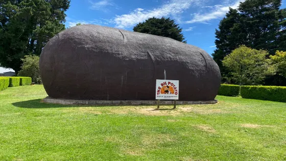 The Big Potato