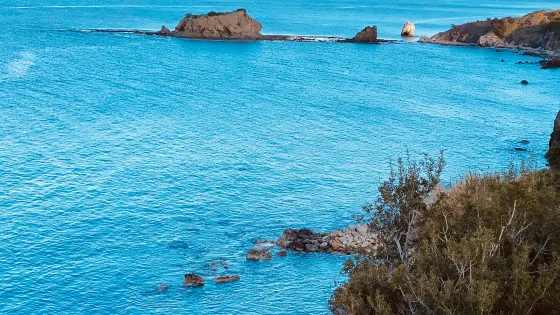 Aphrodite's Beach