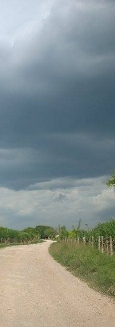 Tamtoc Archaeological Site-圣路易斯波托西州