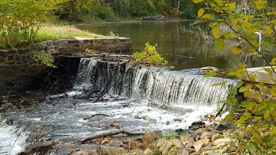 Cooper Gristmill