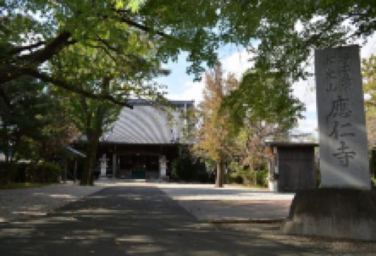 応仁寺景点图片