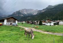 Pista Ciclabile delle Dolomiti景点图片