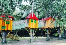 Parco Avventura JoPark景点图片