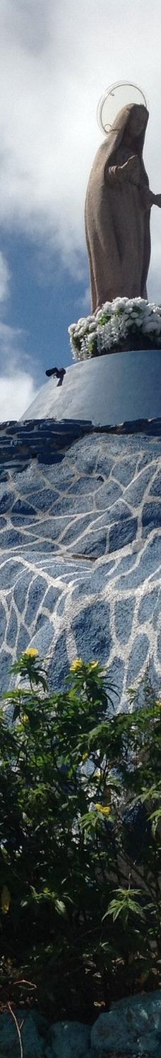 Notre Dame Du Pacifique-阿尔达比勒