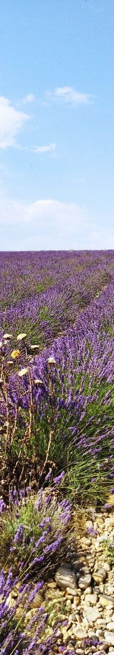 瓦朗索尔高原-瓦朗索勒