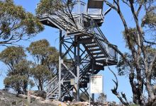 Mt Brown景点图片