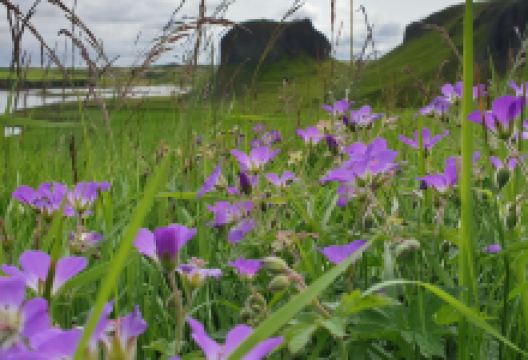 Systrastapi - Sister's Rock Pillar景点图片