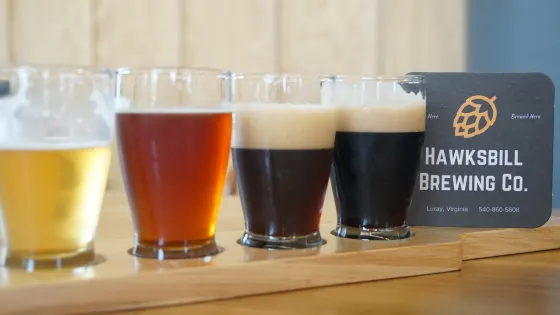 Hawksbill Brewing Co