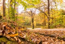 Prairie Creek Park- Vigo County Parks and Recreation Department景点图片