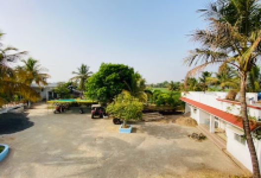 DANDI SWAMI ASHRAM景点图片