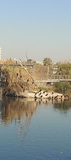 Hod HaSharon Park-Petach Tikva