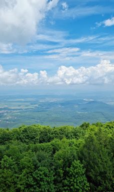 TV and observation tower-珍珠河