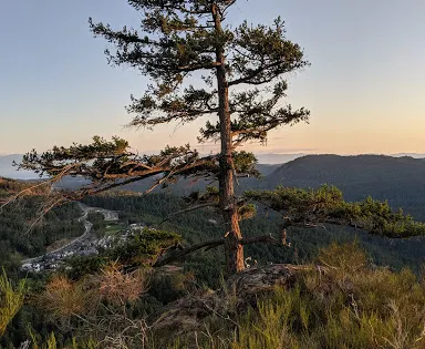 Mount Finlayson