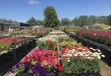 Garden Center Ofman购物图片