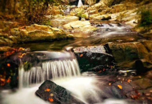 La Limony景点图片