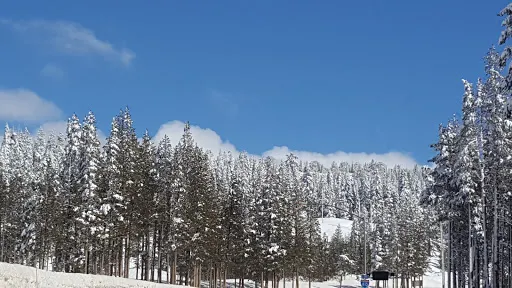 Emigrant Gap Historical Marker