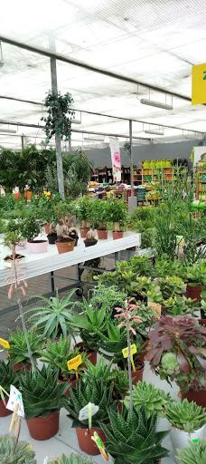 Zahradní Centrum Dvořák-特普利采