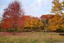 Delnor Woods Park景点图片