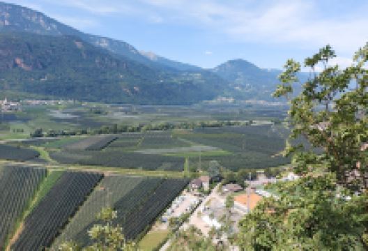 Camper Park Terlan景点图片