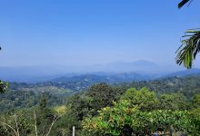 Elkaduwa Temple景点图片