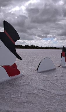 麦克唐纳尔湖-皮农