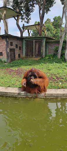 SAFARI LAGOI BINTAN-民丹岛