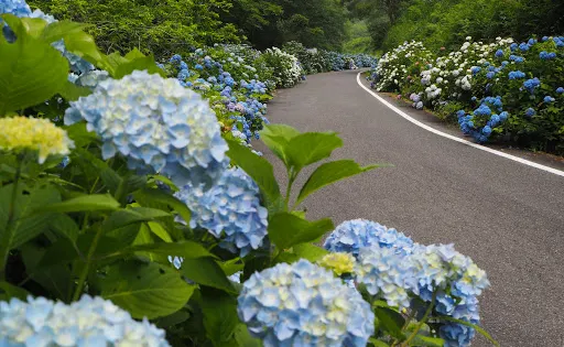 たけべの森公園