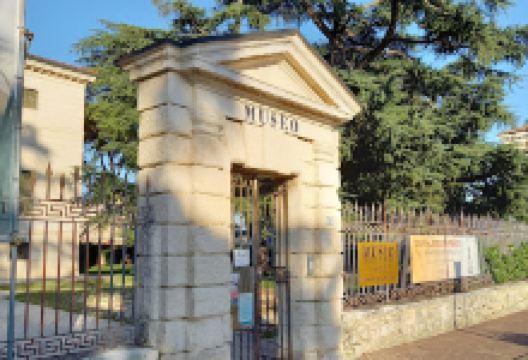 Museo Civico 'G. Zannato'景点图片