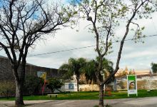 Plazoleta María Reina de la Paz景点图片