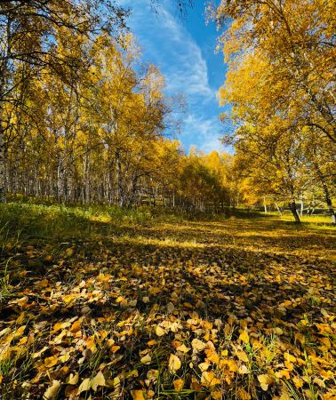 4D3N • China + Inner Mongolia + Chifeng + Ulan Butung Grasslands