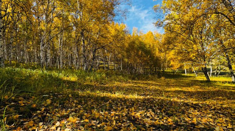 4-day 3-night · Private Tour · China + Inner Mongolia + Chifeng + Wulanbutong Steppe Tourist Area