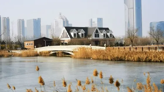 東營悅來湖公園