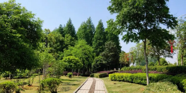 青泉公園