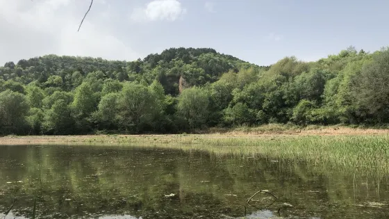 相思川
