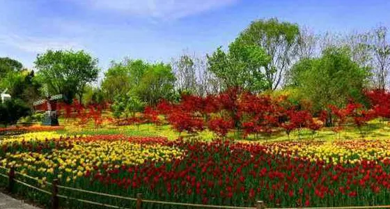 故城縣植物園