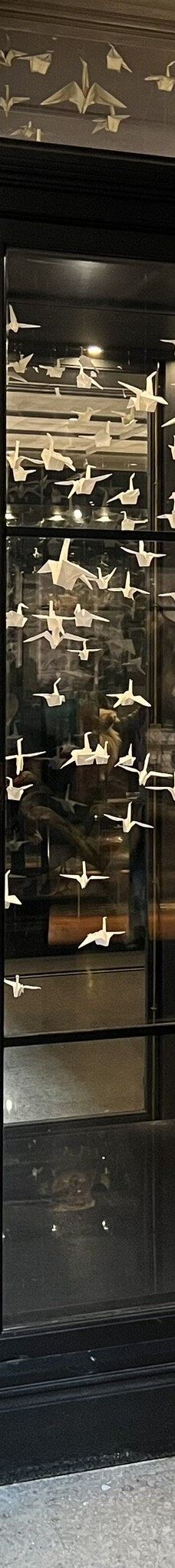 曼彻斯特博物馆-曼彻斯特