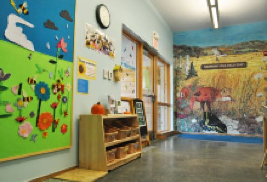 北卡罗莱纳植物园景点图片