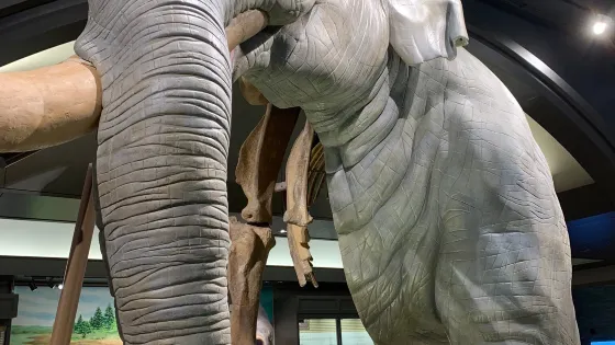 滋賀縣立琵琶湖博物館